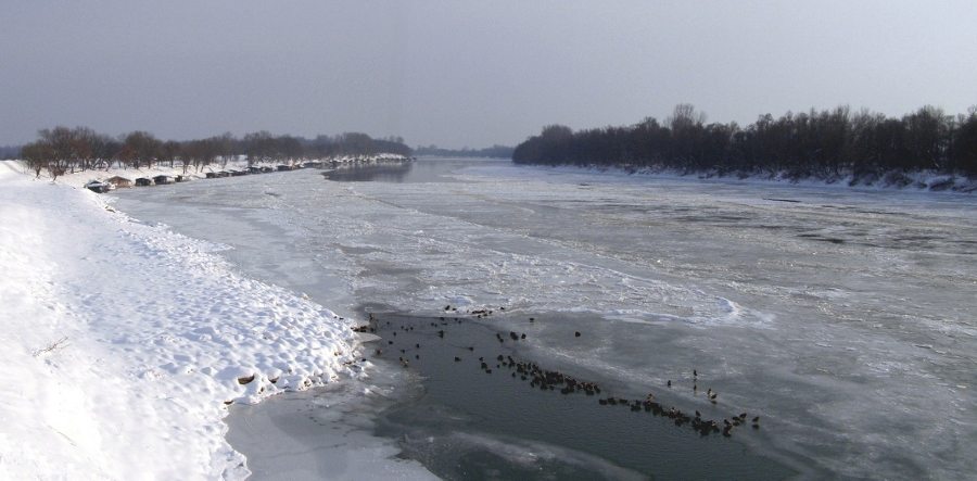 Zale�ena Sava 2012
